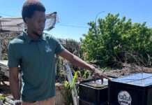 He trained as a nurse but his heart was in the soil